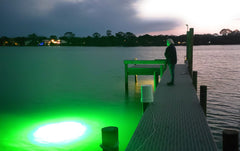 Green Blob Outdoors 110V underwater light works in saltwater and freshwater.