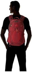 Gregory Maya 20 Plus iris red back panel highlights breathable back panel for hot days.