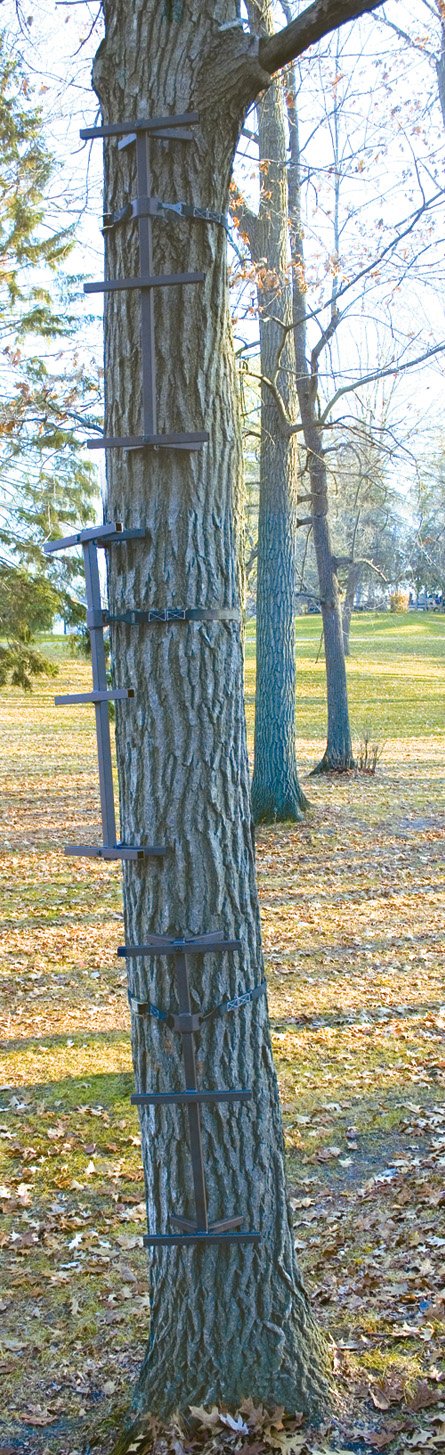 Guide Gear Quick Tree Climbing Sticks provide stable ascent for treestands.