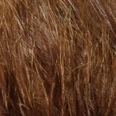 Hareline Marabou Blood Quills close-up shows premium texture for precise hackling
