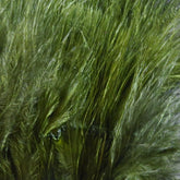 Hareline Dubbin Blood Quills 1oz pack for versatile fly tying.