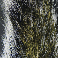 Hareline Gray Squirrel Tail Dyed bundle shows soft natural fibers for lifelike flies.