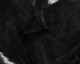 Hareline Grizzly Soft Hackle Black feathers close-up for lifelike movement in wet flies.