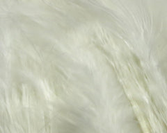Hareline Premo Turkey Flats white feathers for premium wing tips in fly tying.