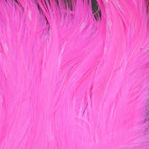 Hareline Saltwater Neck Hackle Hot Pink 188 close-up shows vibrant color and stiff quills for durable flies
