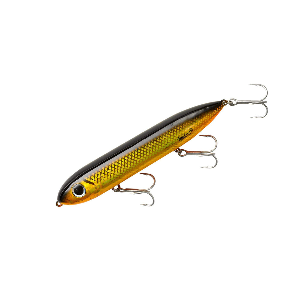 Heddon Super Spook topwater lure in Golden Shiner showing surface strike potential