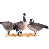 Heerweiyi Canadian goose decoys with ultra-realistic feather patterns for convincing field spreads.