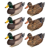 Heerweiyi mallard-duck-6-pack water-scene demonstrates realistic feathering for convincing decoy use.