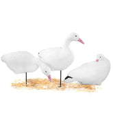 Heerweiyi Snow Goose Decoys Pack 6 back view, realistic field setup to attract snow geese.