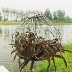 Reusable crab catching trap design for crabbing