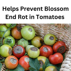 Hi-Yield ammonium calcium nitrate applied to soil around plants supports root development.