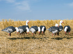 Higdon APEX goose feeder decoy shown from the side for lifelike posture