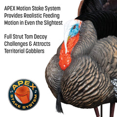 Higdon Apex removable fan for flexible posing and reaping use