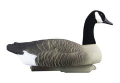 Higdon Mid-Sentry head offers alert silhouettes for realism and depth