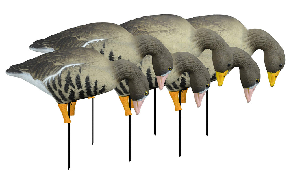 Higdon Outdoors Apex full-body TruFeeder decoy with lifelike silhouette for Specklebelly geese