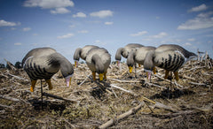Higdon Outdoors Apex stake system creates natural motion to attract birds