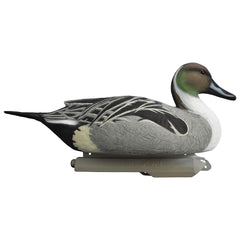Higdon Outdoors Battleship Pintail decoy with weighted keel for stable flotation.