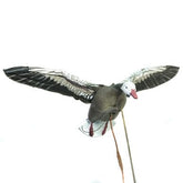 Higdon Outdoors Clone blue goose flapping motion decoy in action for realistic waterfowl lure.