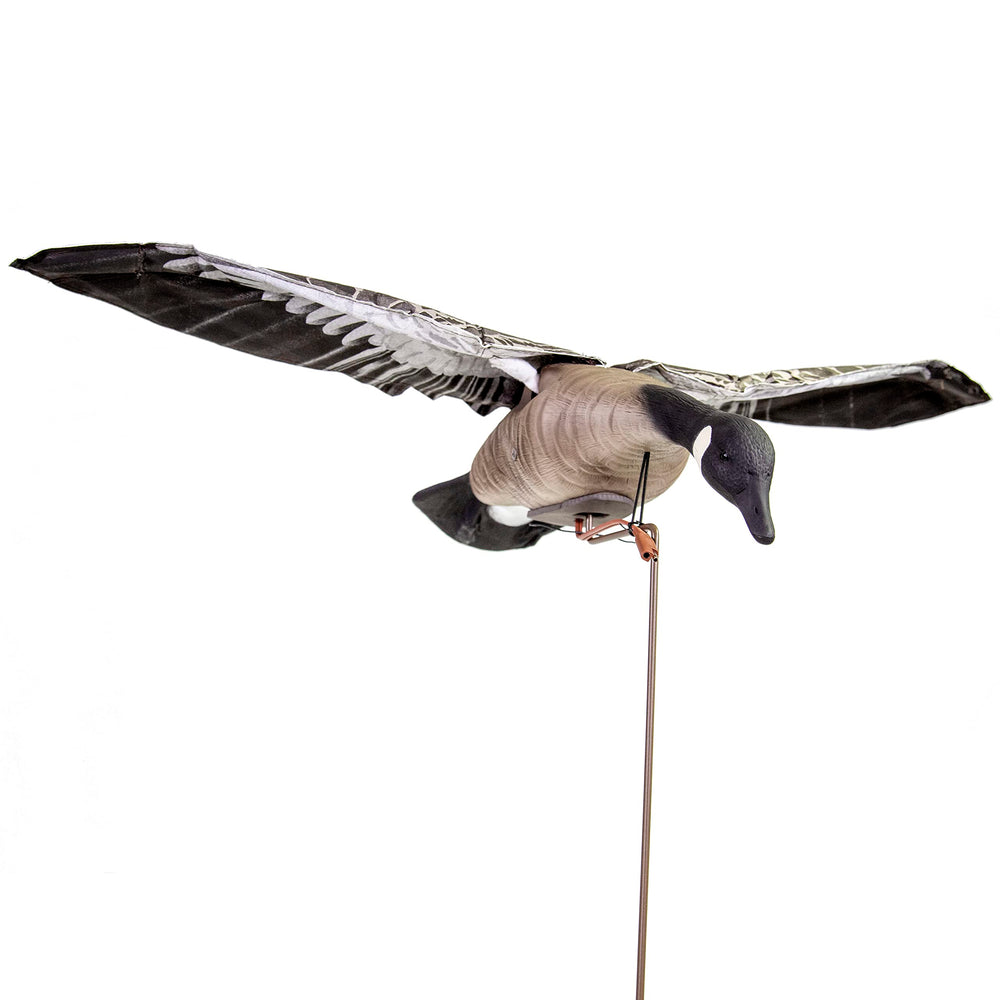 Higdon Outdoors Clone demonstrates lifelike wing beat motion for realistic waterfowl decoys.