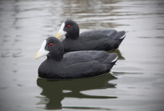 Higdon Outdoors Standard Coot Decoys feather detail closeup shows UV paint reducing glare.