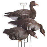 Higdon Outdoors Flats specklebelly motion silhouette in action for field realism.
