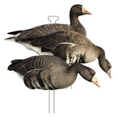 Higdon Outdoors Flats specklebelly silhouette decoy with matte finish for waterfowl setups