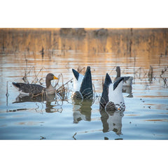 Higdon Outdoors Speck Goose Butt decoy with deep feather carving for lifelike realism.