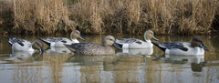 Higdon Outdoors Pintail Floater Drake Upright 02 varied posture enhances natural flock look