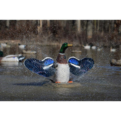 Higdon Outdoors XS water spray motion draws ducks at ponds and pools