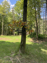 High Point Products oak leaf design blends with surrounding trees for natural concealment.