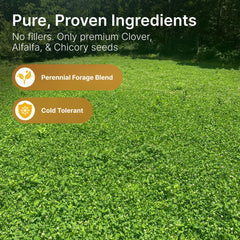 Hit List Seed perennial food-plot mix thriving in field rows for year-round deer nutrition