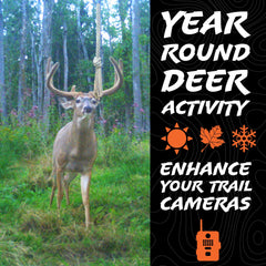 Self-sustaining rope system reduces need for frequent reapplication near blinds and cameras.