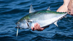 Hogy epoxy jig weight options from 5/8 oz to 2 oz for versatile fishing