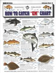 Cover image for How to Catch Em Saltwater Fish Identification #2