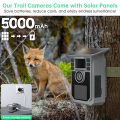 Hrivcam Trail Camera captures 4K video with audio for wildlife moments