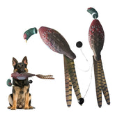 HSOKEW pheasant dummy for dog training in a 2-pack, easy to spot during retrieves.
