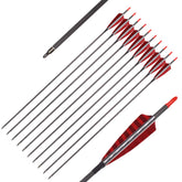 Hunter Ian Archery pure carbon arrows with 30-inch shaft for durable practice and hunting.