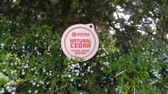 Hunters Specialties wafers hanging from branch for scent masking