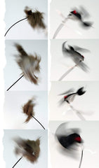 Icotec AD400 high-speed motor delivering rapid decoy motion.