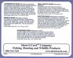 Ident-I-Cards Bass Family back view with scientific names and freshwater records.