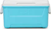 Igloos 48-quart hard-sided cooler with a spacious interior for family picnics.