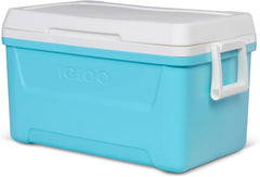 Igloos swing-up handles offer stable lifting for easy transport.