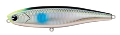 ima Chappy 100 sight bola lure front view, topwater action for sea bass
