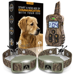 INVIROX shock collar for two dogs enables synchronized training sessions with remote control