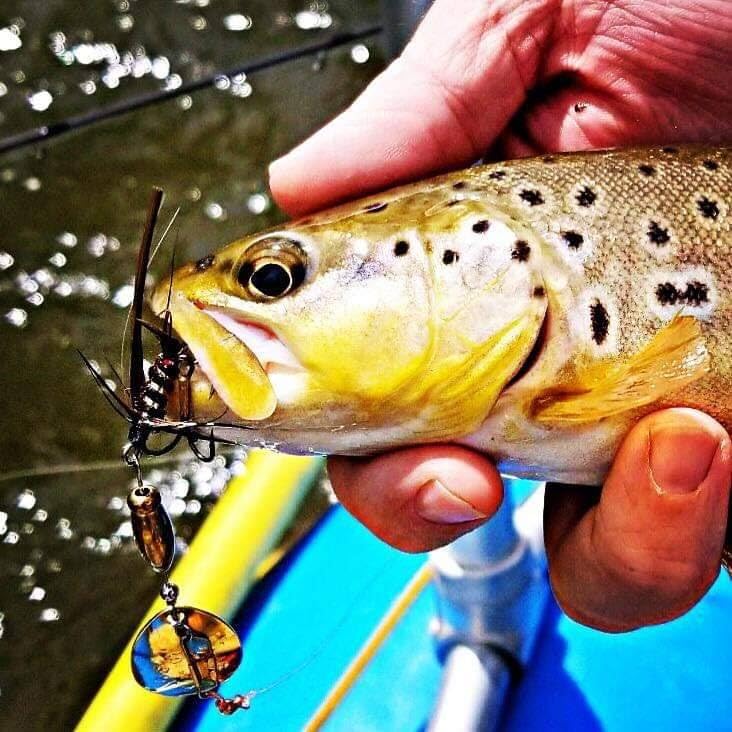 Weighted 1/4 oz Super Striker for deeper water