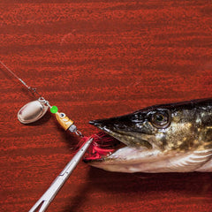 Close-up of 8mm glow fishing beads with a 2mm center hole