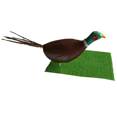 KHAMPA 3D archery target pheasant, head-back view highlights overall silhouette.