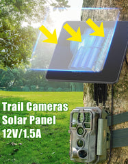 KJK 6W solar panel mounted on a tree enables steady wildlife surveillance.