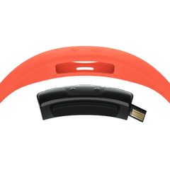 KNOG Bandicoot 250 high-precision 40m beam illuminates night trails