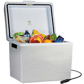 Koolatron Travel Saver 45qt exterior view for road trip portability